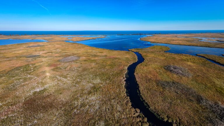 Coastal wetlands on Lake Erie, seen from the air.