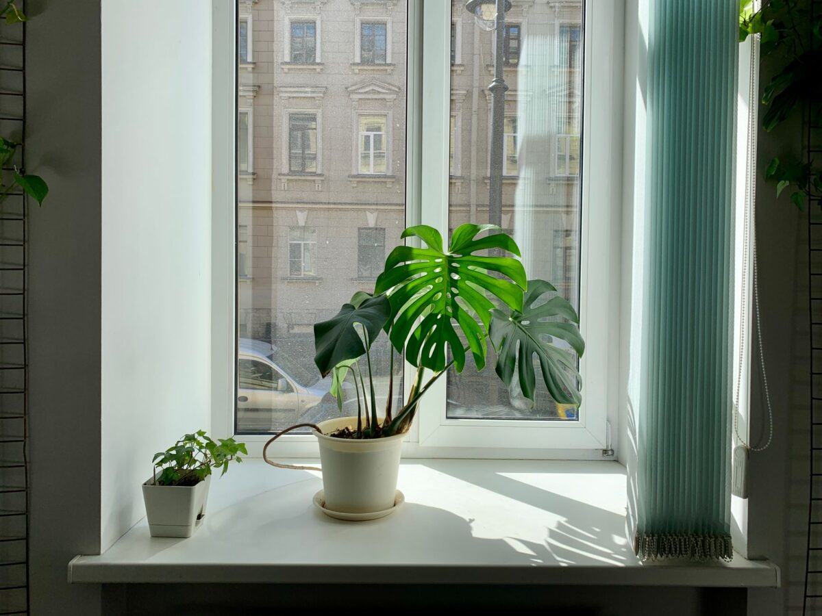 How to Improve Indoor Air Quality in Your Home Year-Round